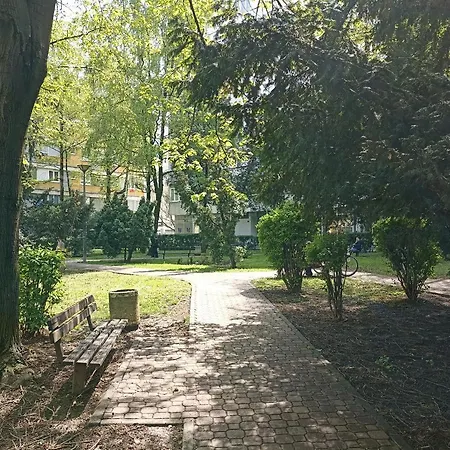 Apartment Oasis